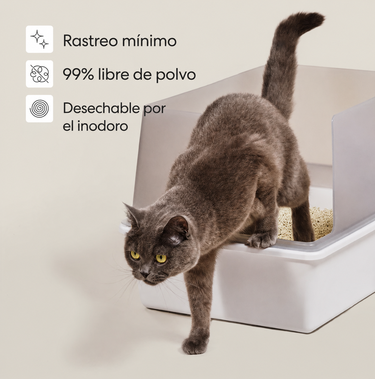 Arena de tofu para gatos: menos olor, menos polvo y limpieza más fácil