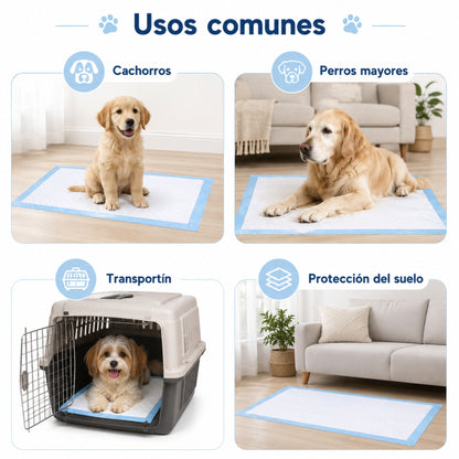 Empapadores para perro Doda (60x60cm y 60x90cm)