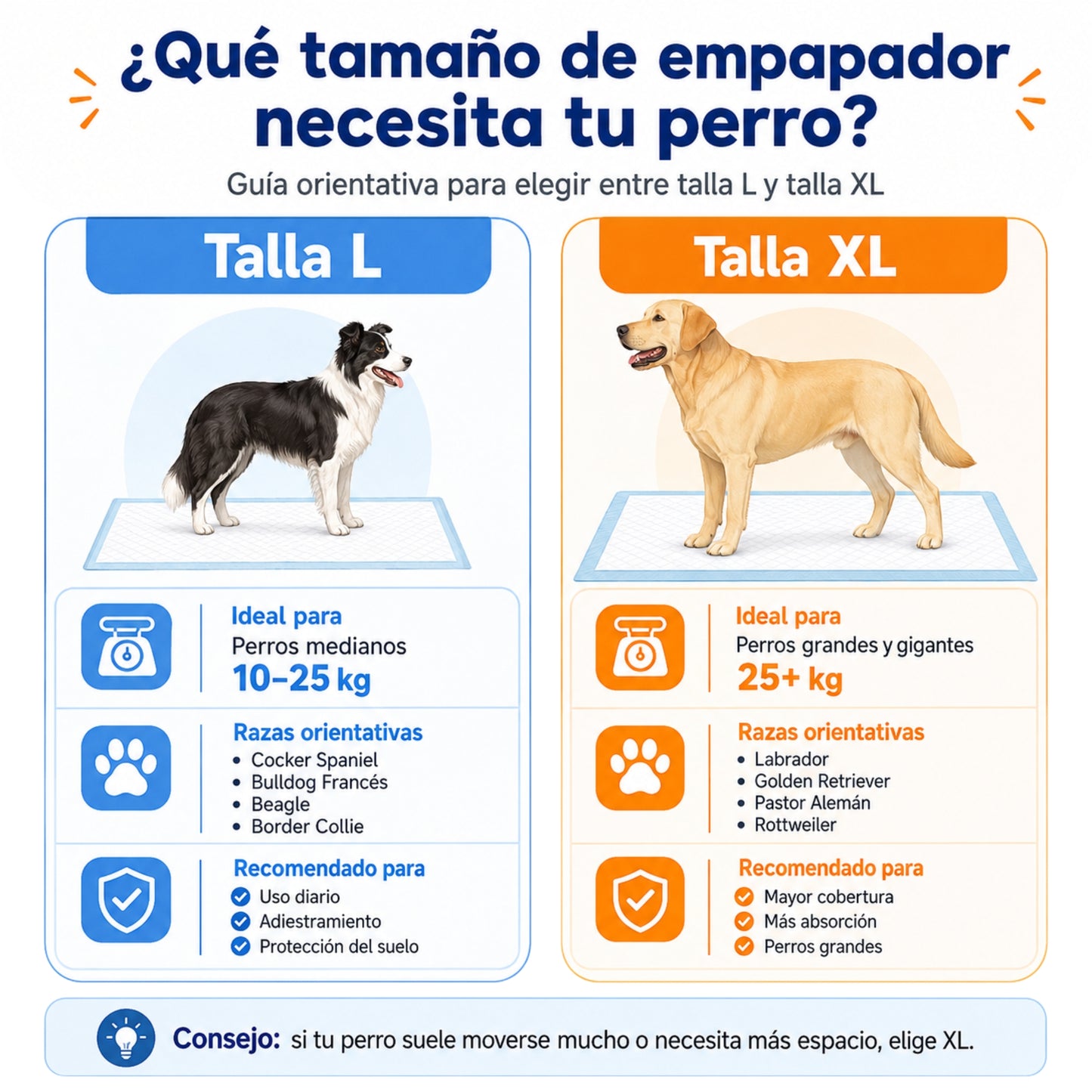 Empapadores para perro Doda (60x60cm y 60x90cm)